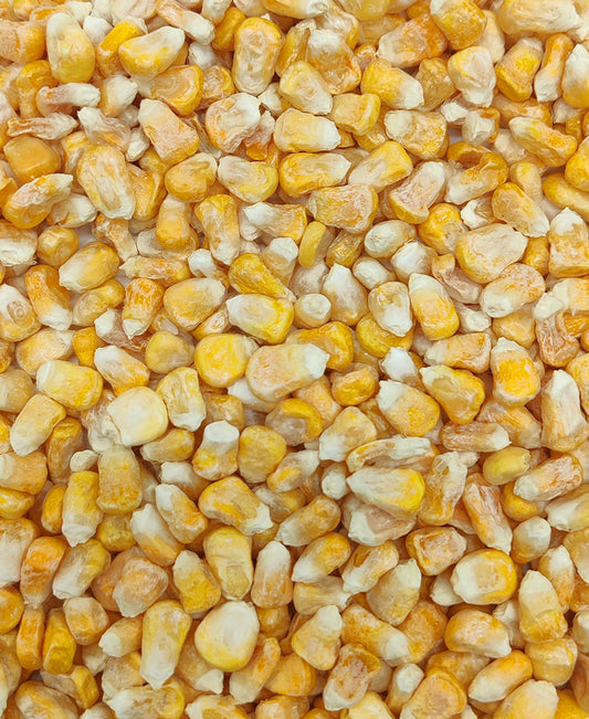 Freeze Dried Corn